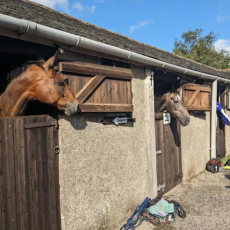 Corner Cottage, Yealand Redmayne, Ideal Family Holiday, Meet The Resident Animals *