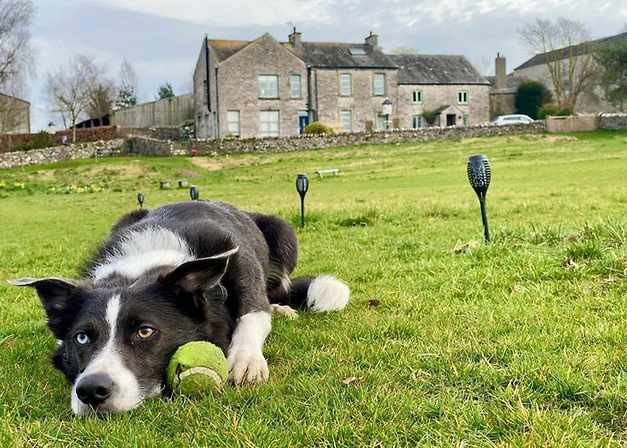 Corner Cottage, Yealand Redmayne, Ideal Family Holiday, Meet The Resident Animals Feriehus Beetham