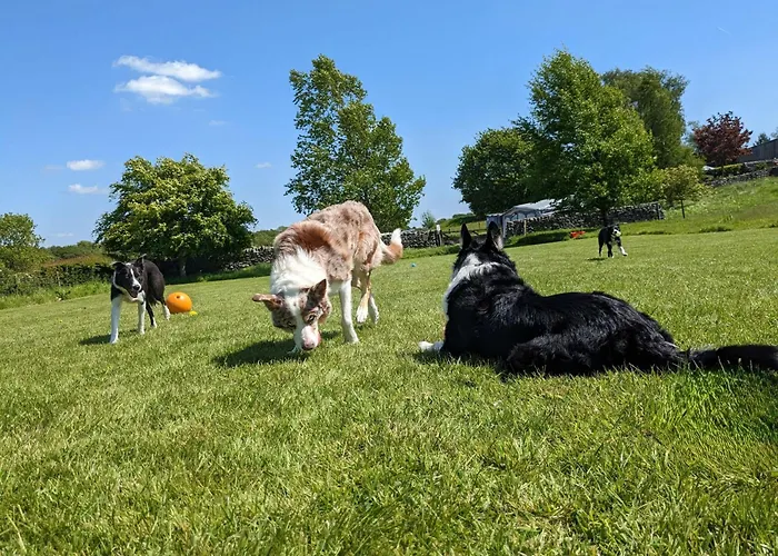 Corner Cottage, Yealand Redmayne, Ideal Family Holiday, Meet The Resident Animals Feriehus