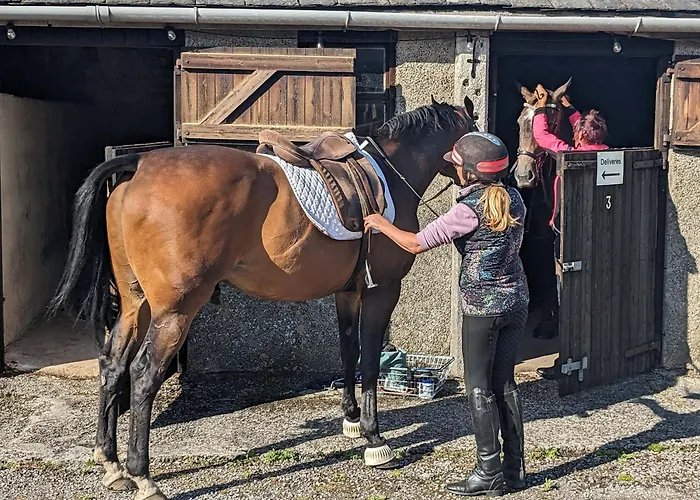 Feriehus Corner Cottage, Yealand Redmayne, Ideal Family Holiday, Meet The Resident Animals Beetham